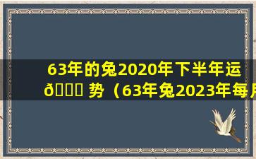 63年的兔2020年下半年运 🐝 势（63年兔2023年每月运 🐧 势及运程）